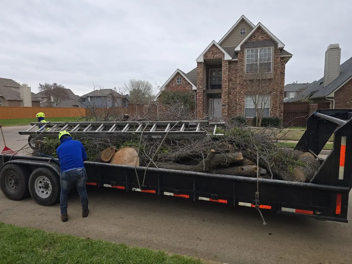 Expert Lot Clearing with proper safety equipment in Yoder
